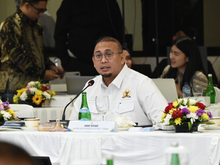 Wakil Ketua Komisi VI DPR RI, Andre Rosiade