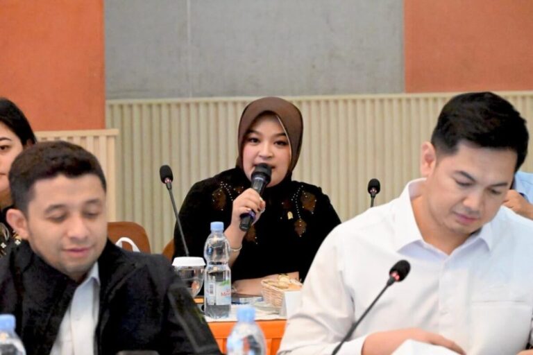Anggota Komisi XI DPR RI, Annisa Mahesa
